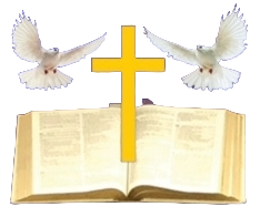 CB logo with transparent background from CB blue.